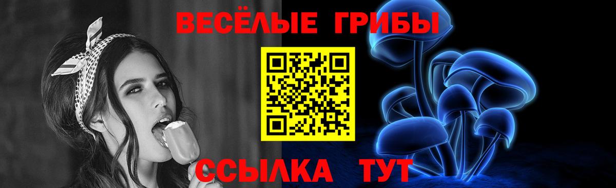 Курчатов  Галлюциногенные грибы Psilocybine cubensis  Вход с VPN 